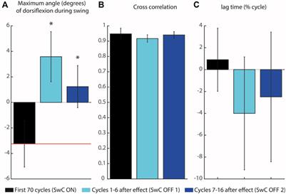 Mechanical disturbances applied by motorized ankle foot orthosis to adapt ankle muscles activation—A validation study